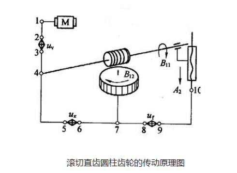 加工直齒圓柱齒輪的傳動原理