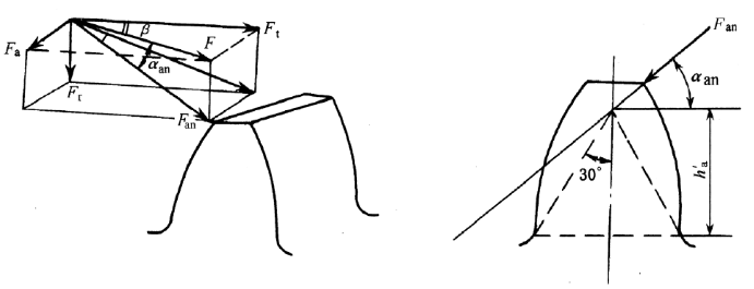 直、斜齒圓柱齒輪受力分析說(shuō)明